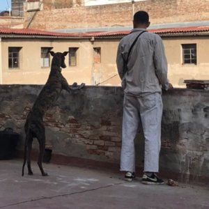 Meet your Posher, Samuel